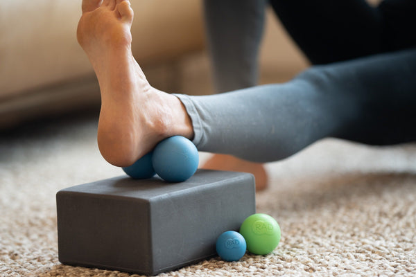 Moving With a Dog - '11 Tips for a Stress-Free Process' by Freda Nkrumah